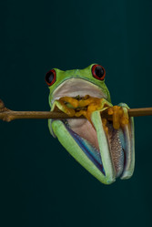 Similar image 1179827