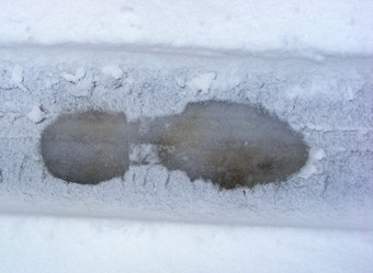 Similar image 1179839