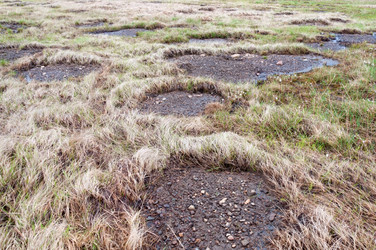 Similar image 1179847