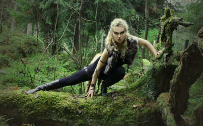 Similar image 1179867