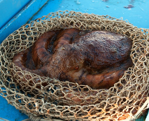 Similar image 1179886