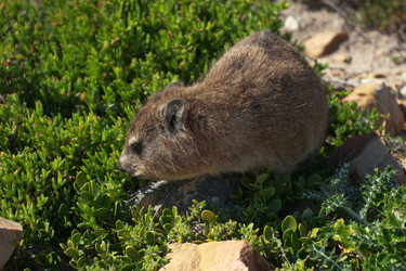 Similar image 1179887