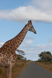 Similar image 1179889