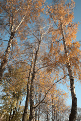 Similar image 1179890