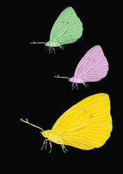 Similar image 1179906