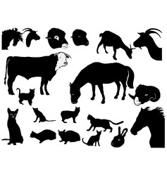 Similar image 1179949