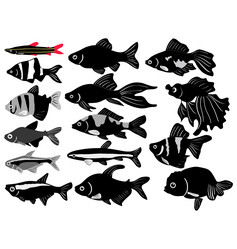 Similar image 1179972