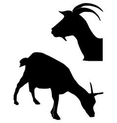 Similar image 1180015