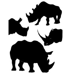 Similar image 1180019