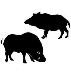 Similar image 1180030