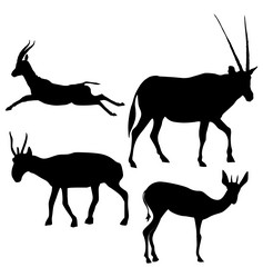 Similar image 1180052