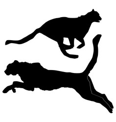 Similar image 1180057