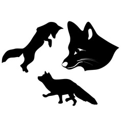 Similar image 1180059