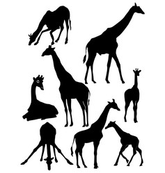 Similar image 1180070