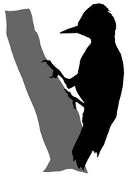 Similar image 1180073