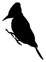 Similar image 1180074