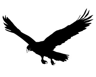 Similar image 1180080