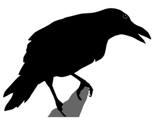 Similar image 1180081