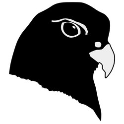 Similar image 1180082