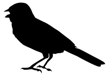 Similar image 1180091