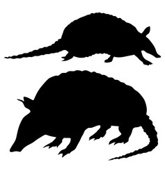 Similar image 1180094