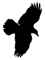 Similar image 1180095