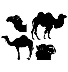 Similar image 1180098