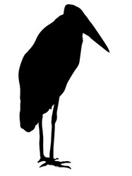 Similar image 1180112