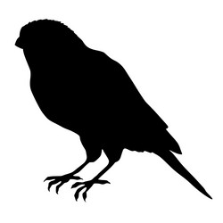 Similar image 1180114