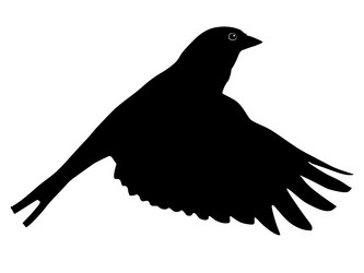 Similar image 1180115