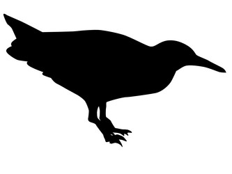 Similar image 1180117