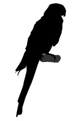 Similar image 1180118