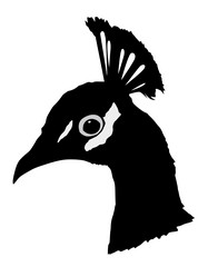 Similar image 1180119