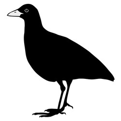 Similar image 1180153