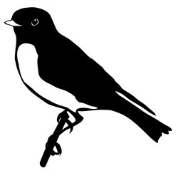 Similar image 1180155