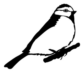 Similar image 1180157