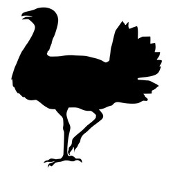 Similar image 1180172