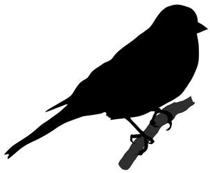 Similar image 1180173