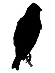 Similar image 1180175