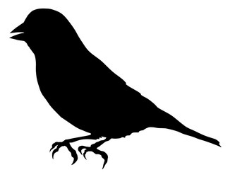 Similar image 1180177