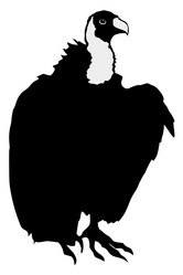 Similar image 1180178