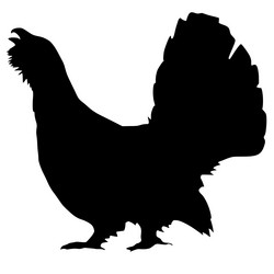 Similar image 1180179