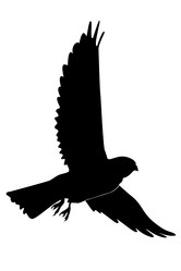 Similar image 1180181