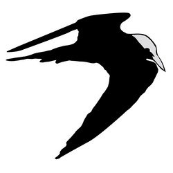 Similar image 1180187