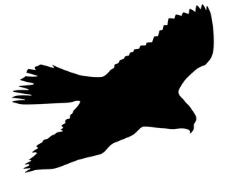 Similar image 1180189