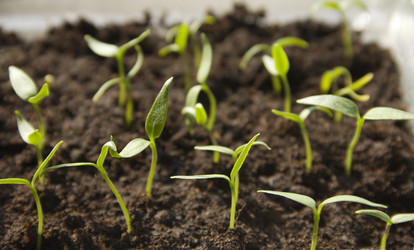 Similar image 1180208