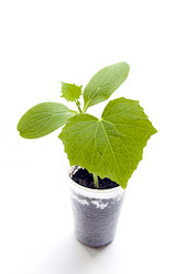 Similar image 1180210