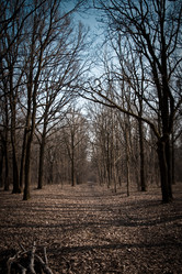 Similar image 1180292