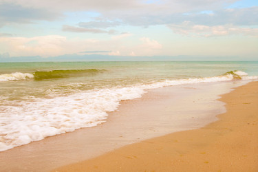 Similar image 1180295