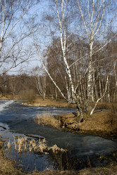 Similar image 1180300